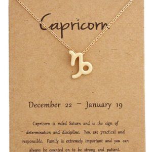 Capricorn Zodiac Constellation Pendant